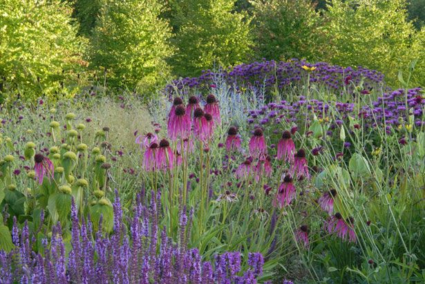 Garden Designs Ideas 2018 : Piet Oudolf - en masse planting of perennials creates meadow-look ... on Oudolf Garden
 id=48504